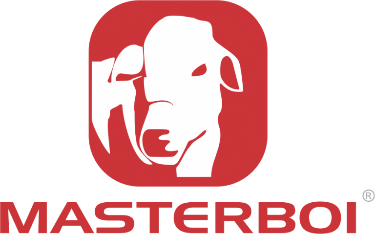 Logo-Masterboi